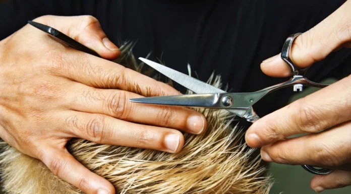 Лучшие рекомендации от профессионалов по выбору ножниц для стрижки волос Лучшие рекомендации от профессионалов по выбору ножниц для стрижки волос